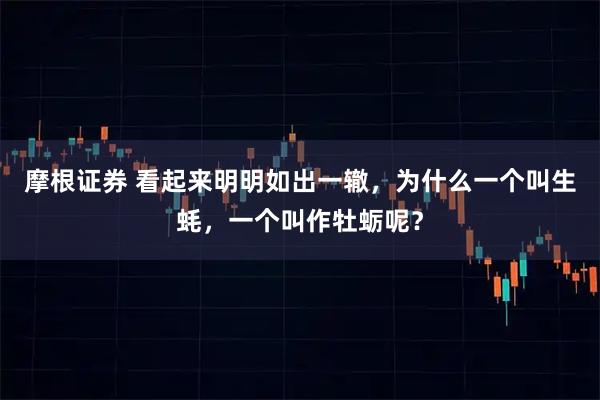 摩根证券 看起来明明如出一辙，为什么一个叫生蚝，一个叫作牡蛎呢？