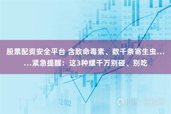 股票配资安全平台 含致命毒素、数千条寄生虫……紧急提醒：这3种螺千万别碰、别吃