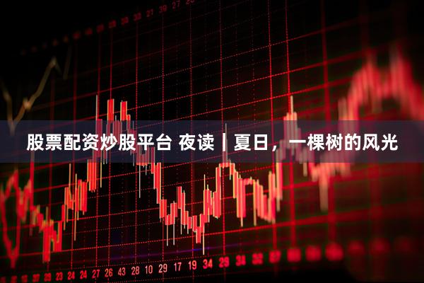 股票配资炒股平台 夜读｜夏日，一棵树的风光